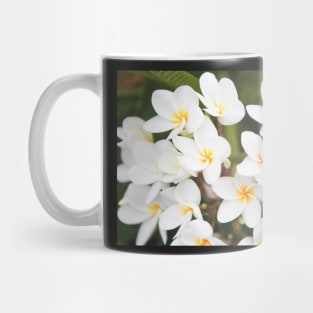 White and Yellow Plumeria Tree Mug